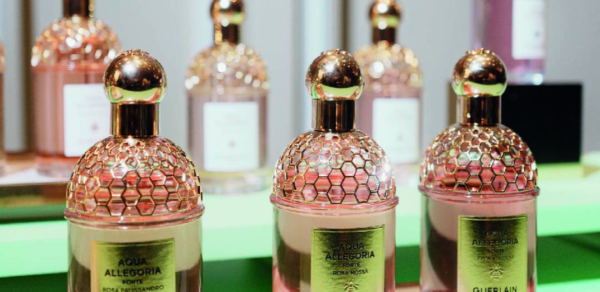 AQUA ALLEGORIA_Mesa de trabajo 1-03