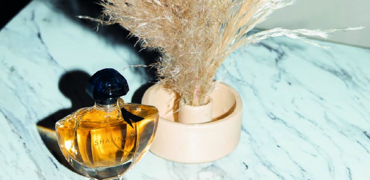 SHALIMAR_Mesa de trabajo 1-03